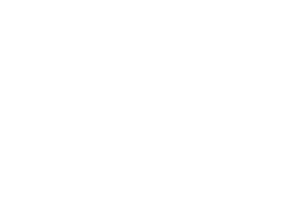 logo aldo